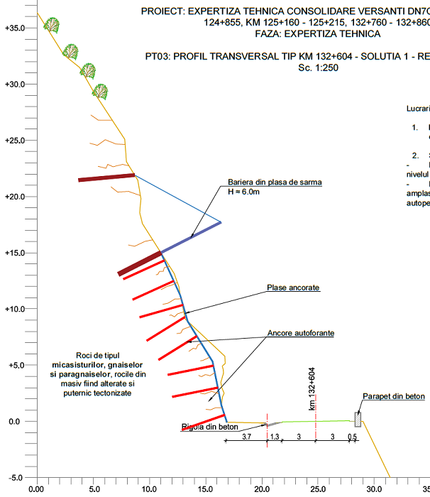 Expertiza consolidare versant